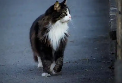 ​2026人生感悟励志经典语录