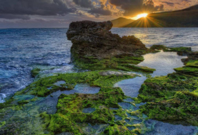 ​一年级《小猪唏哩呼噜》读后感3篇