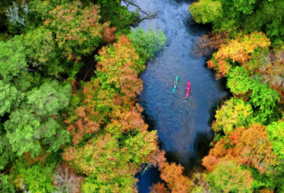 ​河中石兽读后感(精选3篇)