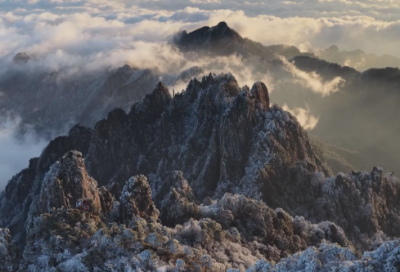 ​《青铜葵花》读后感(精选2篇)
