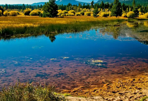 1767774202522199.png image.png