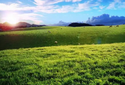 ​读后感开头结尾段落(精选2篇)