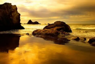 ​小卖部门前的七只猫读后感(精选3篇)