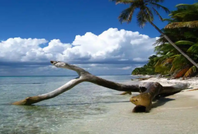 ​狼国故事读后感(精选2篇)