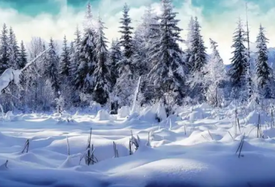 ​草船借箭读后感(精选4篇)