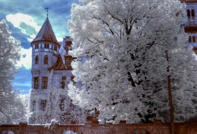 ​狗猫鼠读后感(精选3篇)