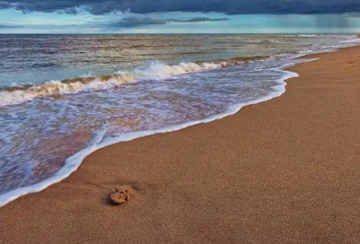 ​昆虫记读后感(精选2篇)