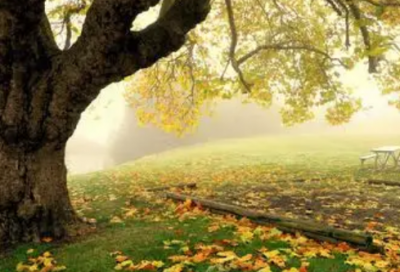 ​鲁滨逊漂流记读后感(精选2篇)