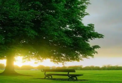 ​神奇校车读后感(精选2篇)